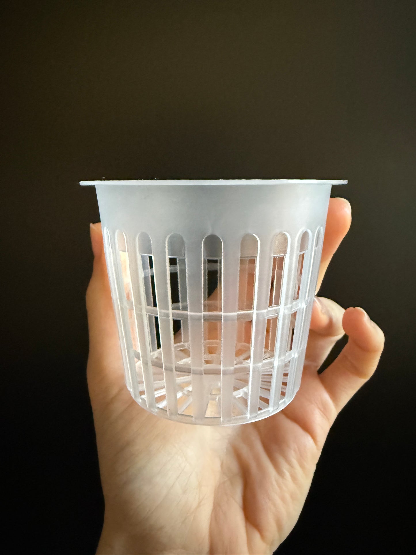 Transparent plant pot - clear pot