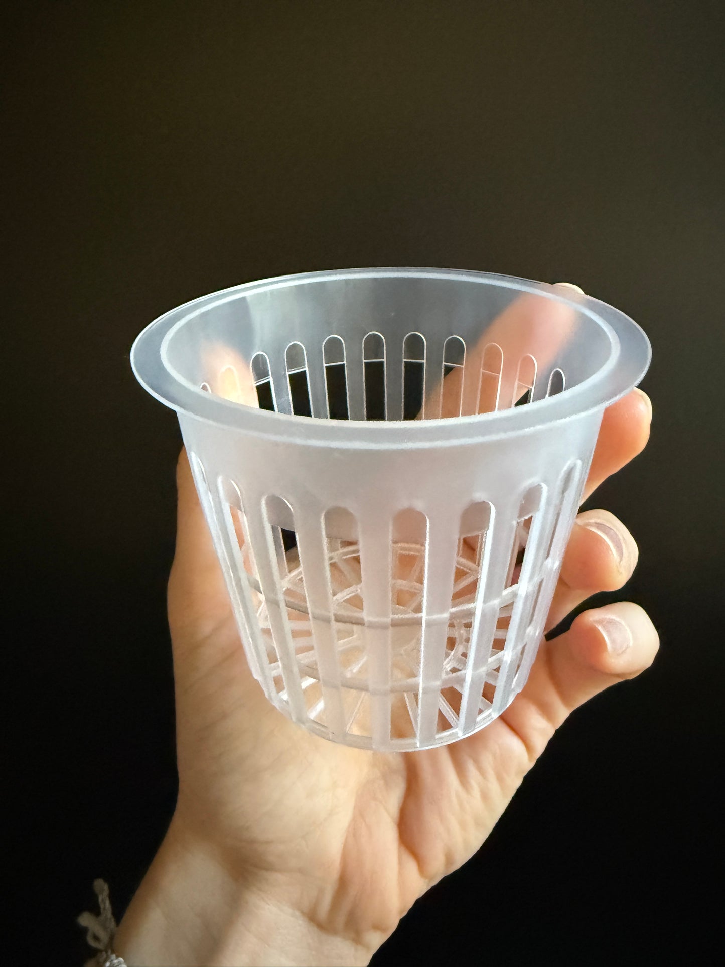 Transparent plant pot - clear pot
