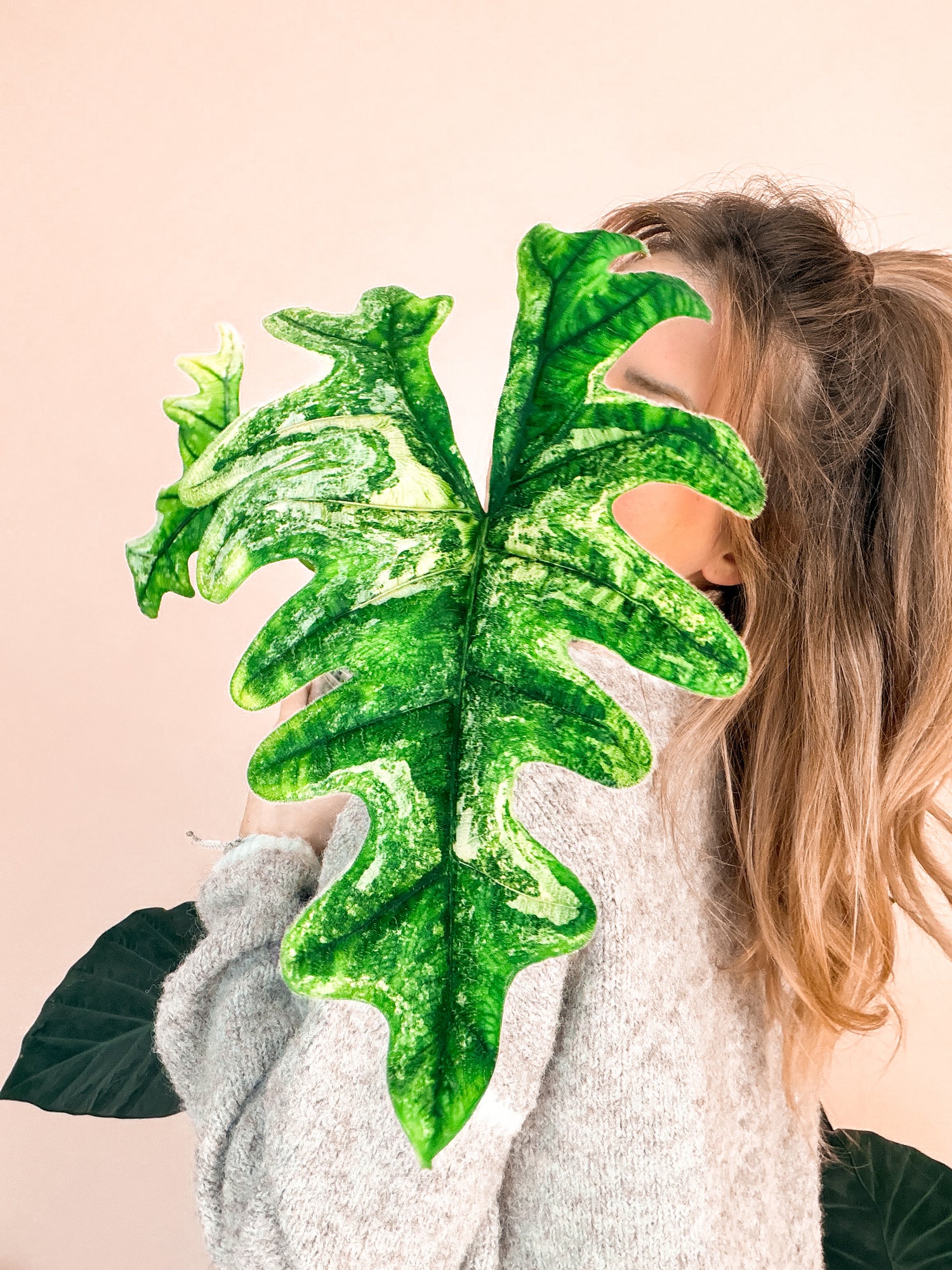 Serenity Botanics Naomi