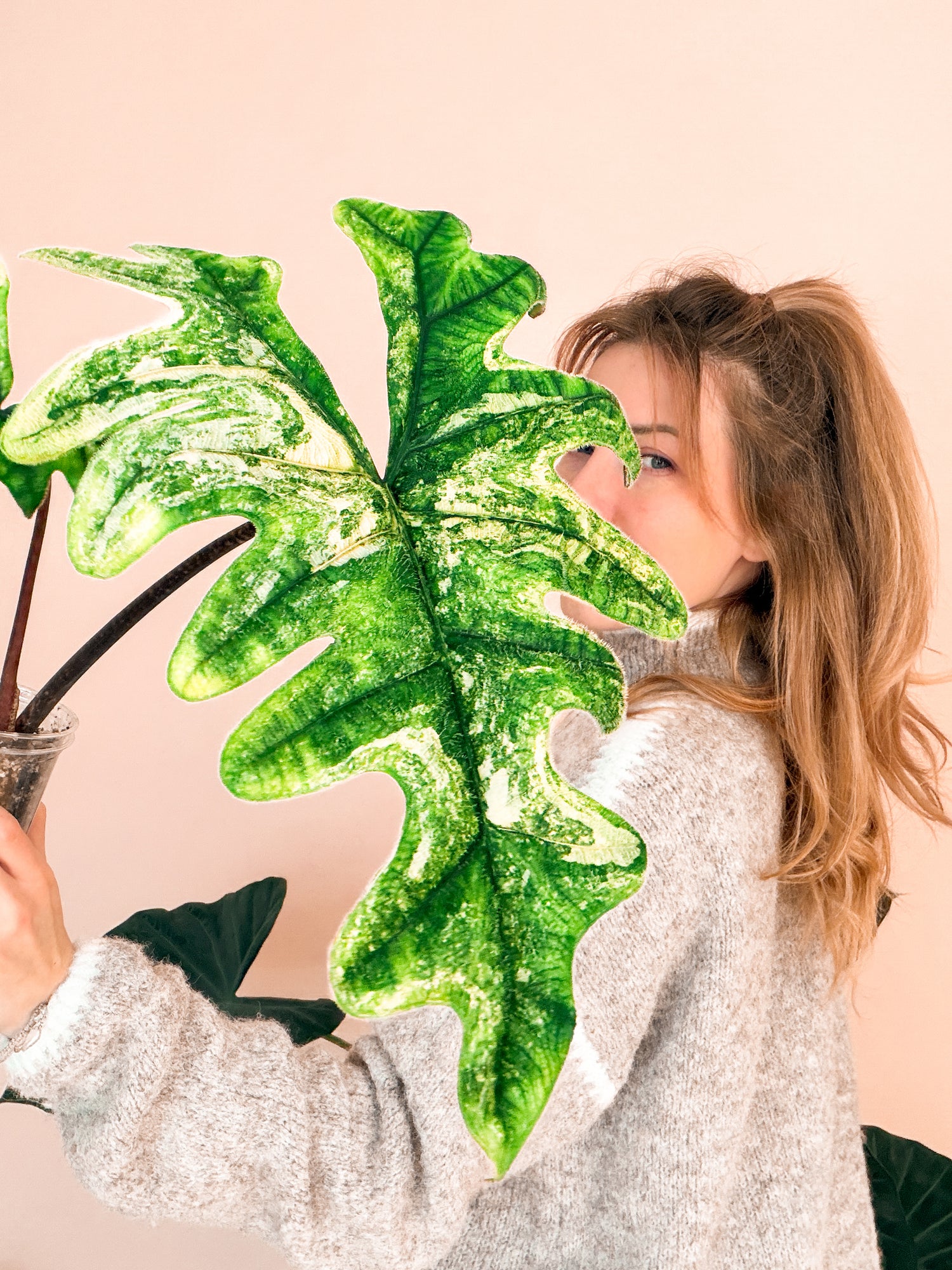 Serenity Botanics Founder